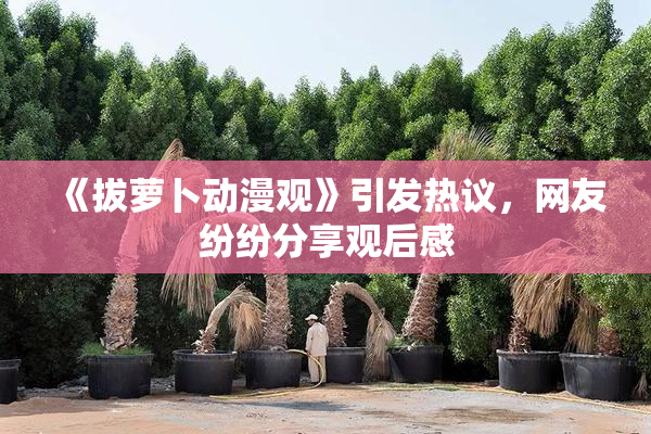 《拔萝卜动漫观》引发热议，网友纷纷分享观后感