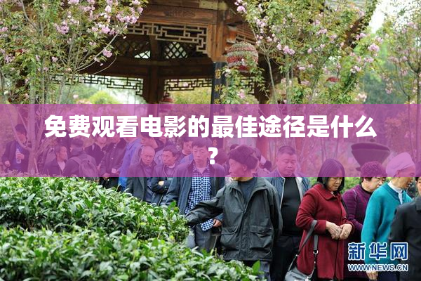 免费观看电影的最佳途径是什么？