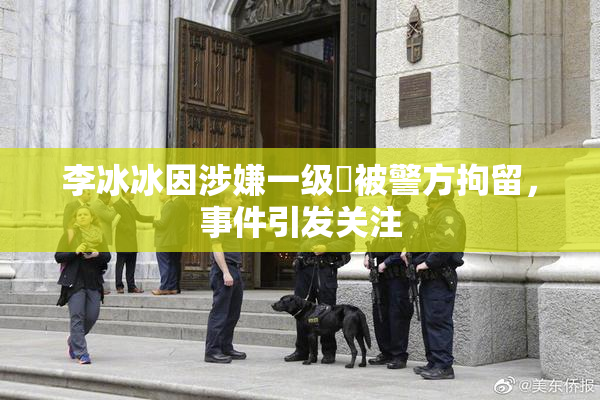李冰冰因涉嫌一级婬被警方拘留，事件引发关注