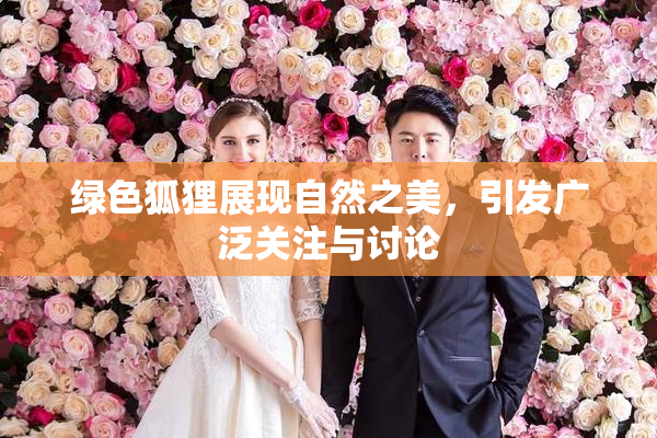 绿色狐狸展现自然之美，引发广泛关注与讨论