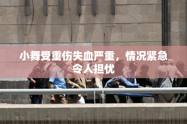 小舞受重伤失血严重，情况紧急令人担忧