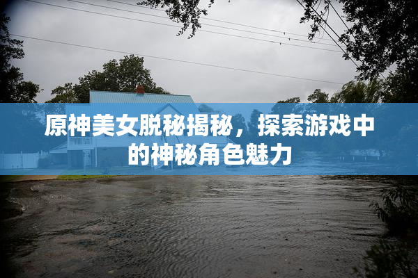 原神美女脱秘揭秘，探索游戏中的神秘角色魅力