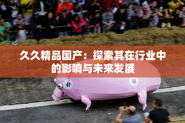 久久精品国产：探索其在行业中的影响与未来发展