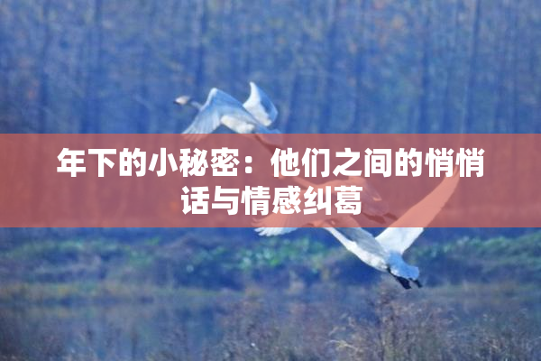 年下的小秘密：他们之间的悄悄话与情感纠葛