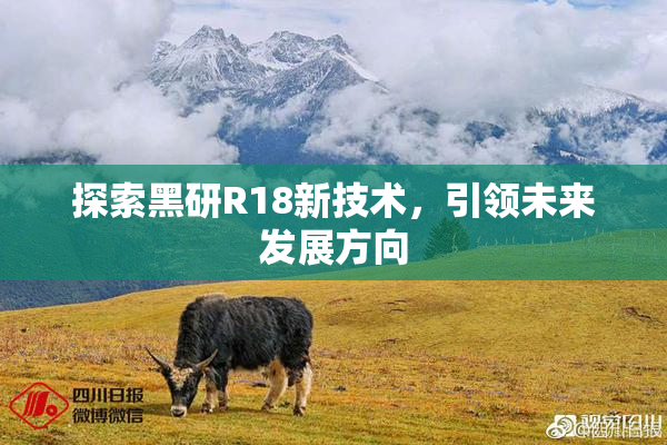 探索黑研R18新技术，引领未来发展方向