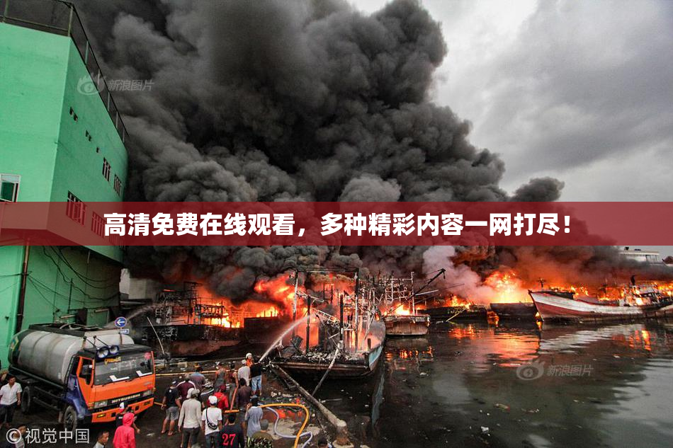 高清免费在线观看，多种精彩内容一网打尽！