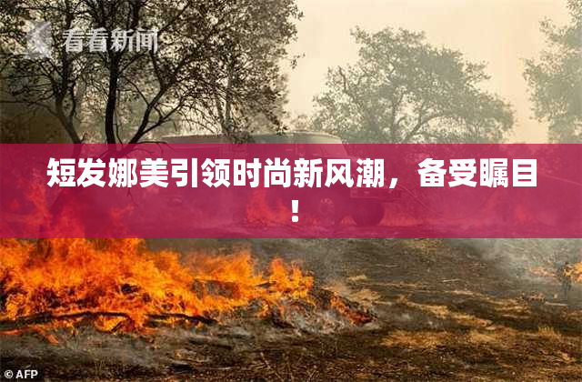 短发娜美引领时尚新风潮，备受瞩目！