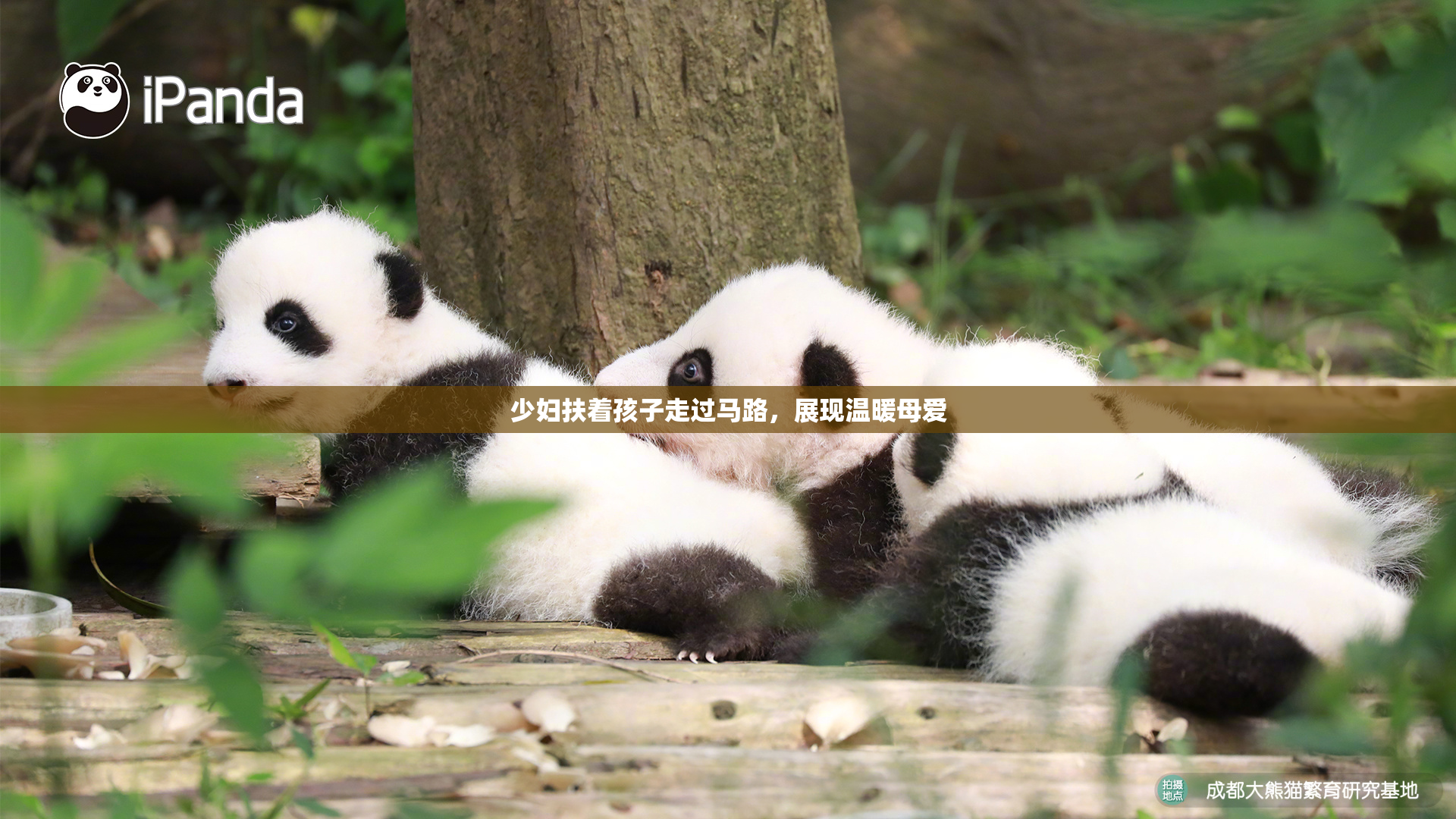 少妇扶着孩子走过马路，展现温暖母爱