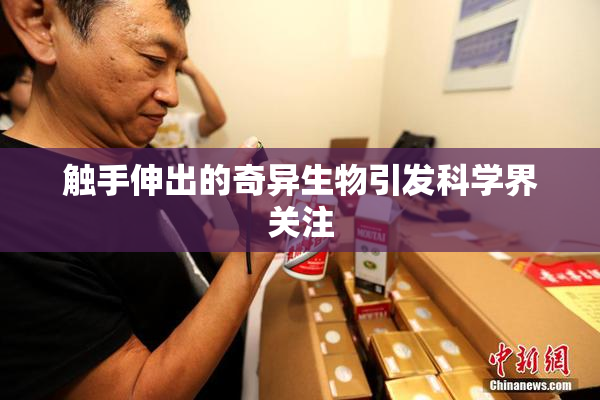 触手伸出的奇异生物引发科学界关注