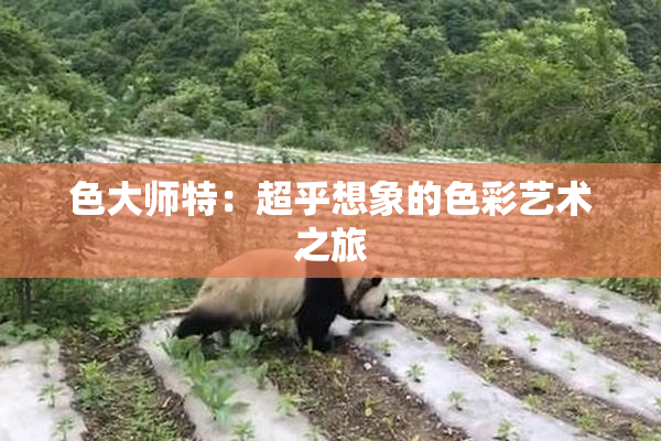 色大师特：超乎想象的色彩艺术之旅