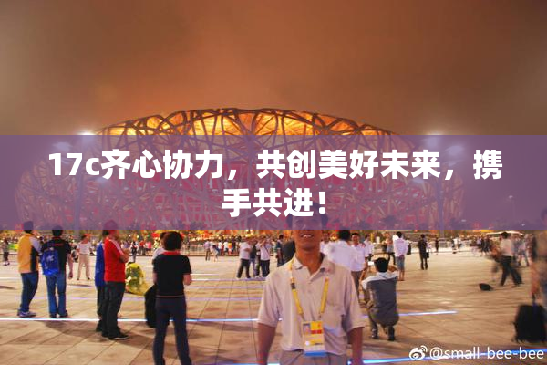 17c齐心协力，共创美好未来，携手共进！