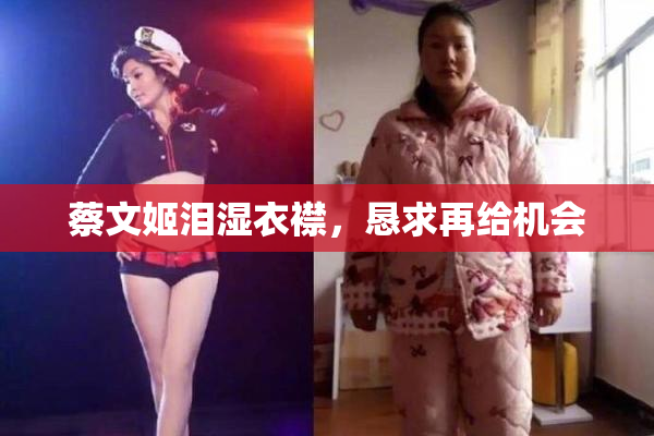 蔡文姬泪湿衣襟，恳求再给机会