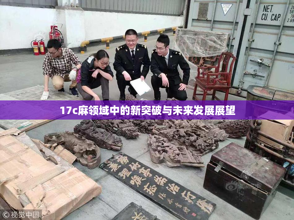 17c麻领域中的新突破与未来发展展望