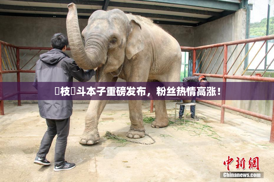 狛枝凪斗本子重磅发布，粉丝热情高涨！
