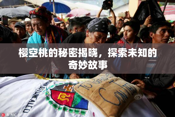 樱空桃的秘密揭晓，探索未知的奇妙故事