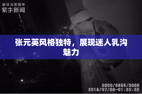 张元英风格独特，展现迷人乳沟魅力