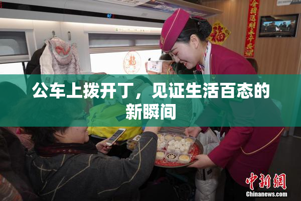 公车上拨开丁，见证生活百态的新瞬间