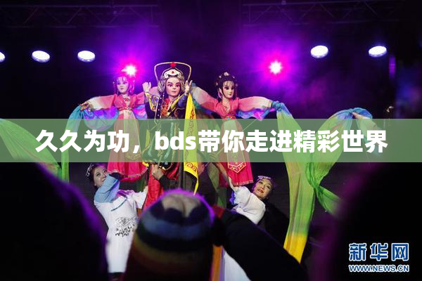 久久为功，bds带你走进精彩世界