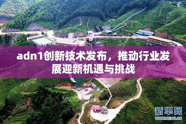 adn1创新技术发布，推动行业发展迎新机遇与挑战