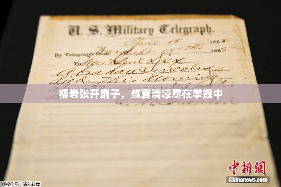 柳岩张开扇子，盛夏清凉尽在掌握中