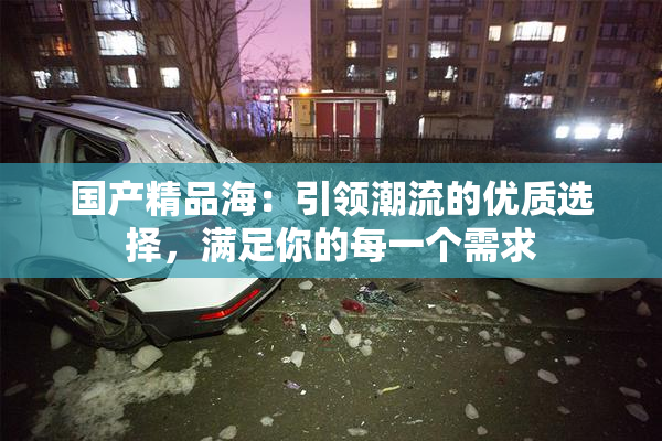 国产精品海：引领潮流的优质选择，满足你的每一个需求