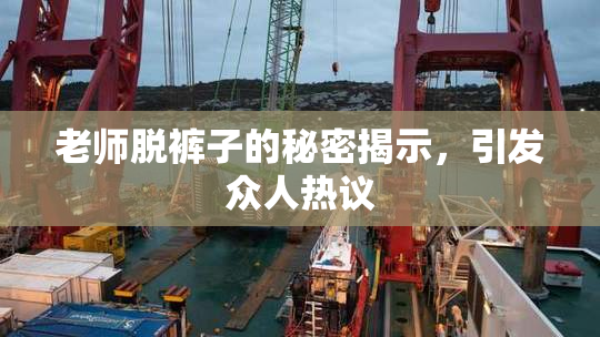 老师脱裤子的秘密揭示，引发众人热议