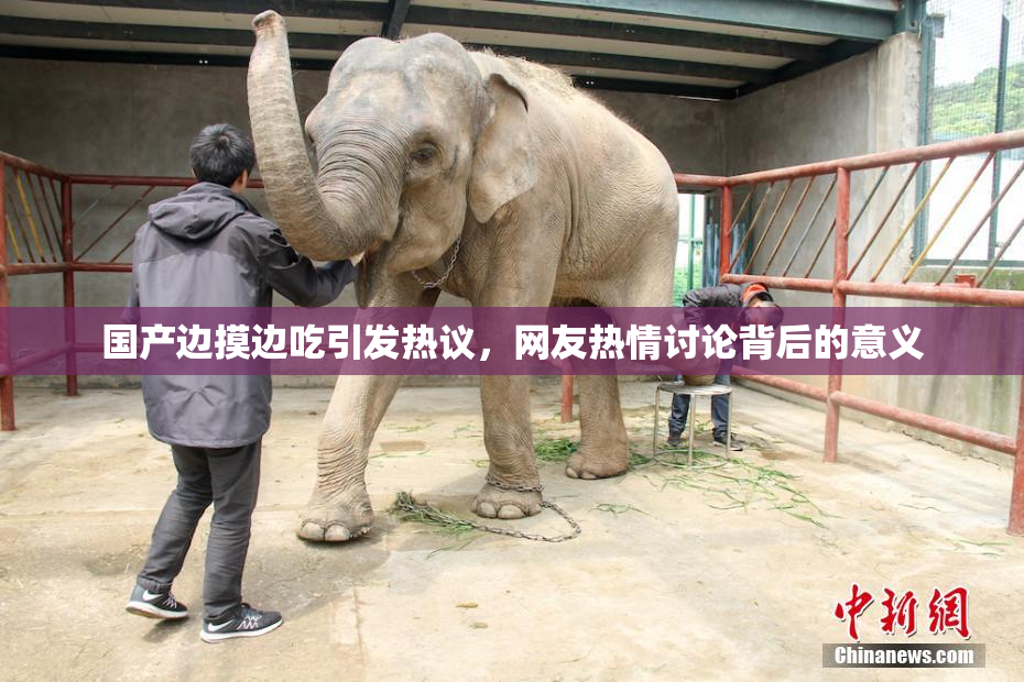 国产边摸边吃引发热议，网友热情讨论背后的意义