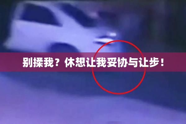 别揉我？休想让我妥协与让步！