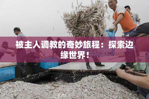 被主人调教的奇妙旅程：探索边缘世界！