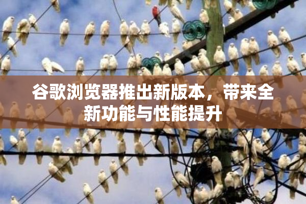 谷歌浏览器推出新版本，带来全新功能与性能提升