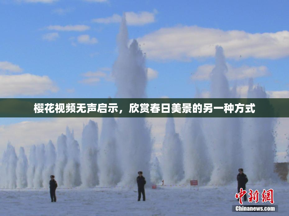 樱花视频无声启示，欣赏春日美景的另一种方式
