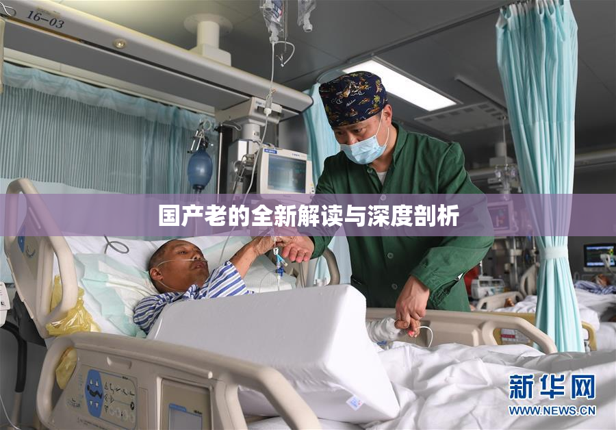 国产老的全新解读与深度剖析
