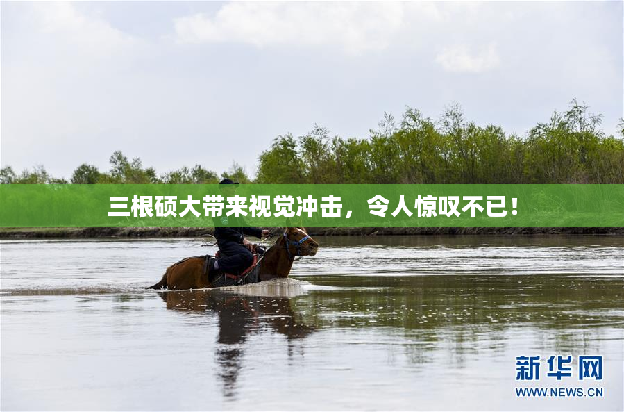 三根硕大带来视觉冲击，令人惊叹不已！