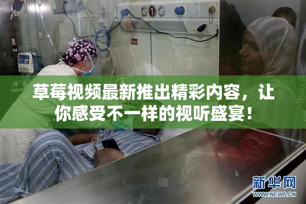 草莓视频最新推出精彩内容，让你感受不一样的视听盛宴！