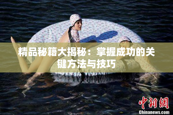 精品秘籍大揭秘：掌握成功的关键方法与技巧