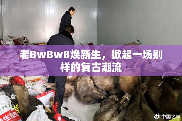 老BwBwB焕新生，掀起一场别样的复古潮流