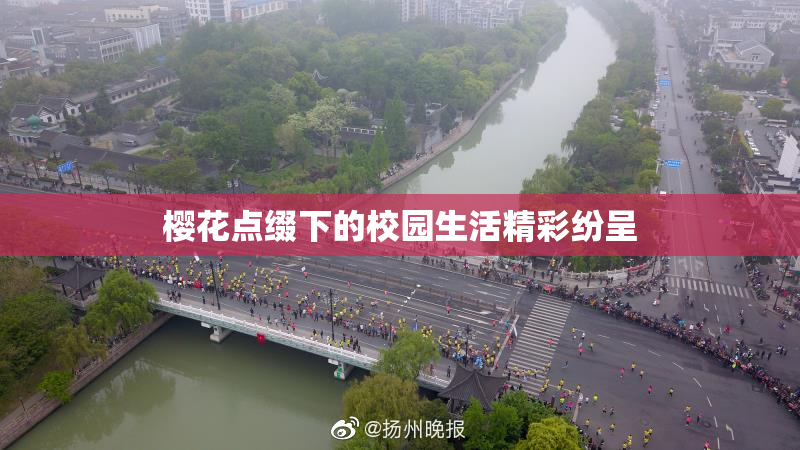 樱花点缀下的校园生活精彩纷呈