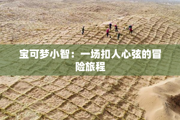 宝可梦小智：一场扣人心弦的冒险旅程