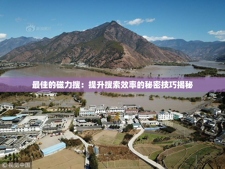 最佳的磁力搜：提升搜索效率的秘密技巧揭秘