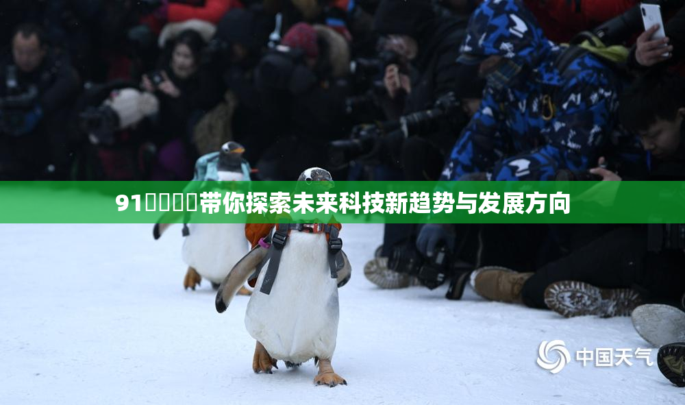 91❌‌❌‌带你探索未来科技新趋势与发展方向
