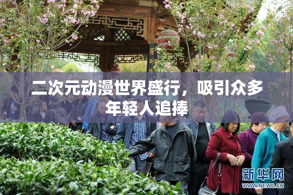 二次元动漫世界盛行，吸引众多年轻人追捧