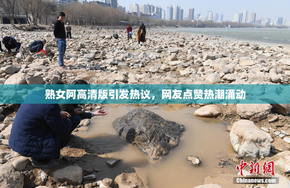 熟女阿高清版引发热议，网友点赞热潮涌动