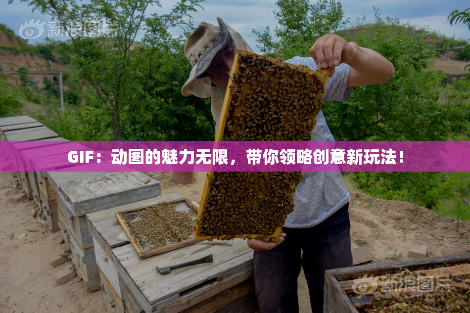 GIF：动图的魅力无限，带你领略创意新玩法！