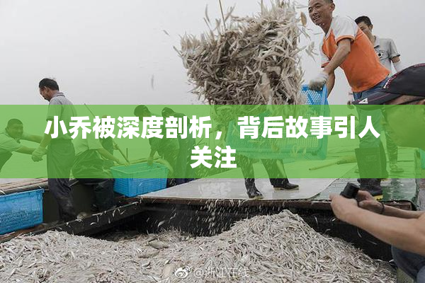 小乔被深度剖析，背后故事引人关注
