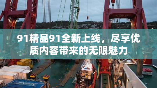 91精品91全新上线，尽享优质内容带来的无限魅力