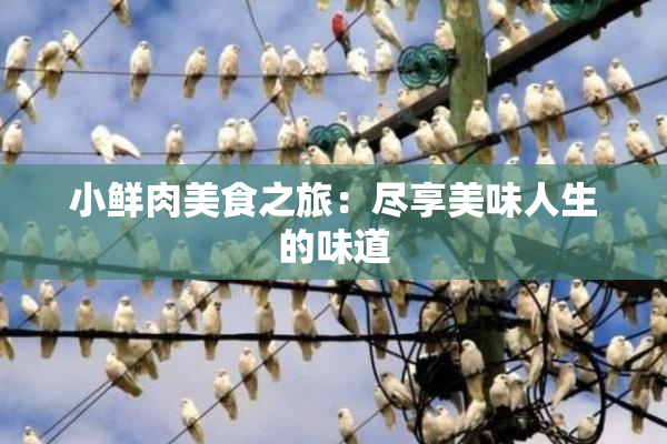 小鲜肉美食之旅：尽享美味人生的味道