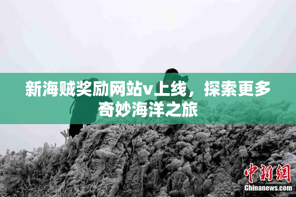 新海贼奖励网站v上线，探索更多奇妙海洋之旅