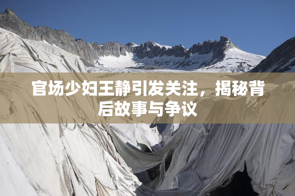 官场少妇王静引发关注，揭秘背后故事与争议