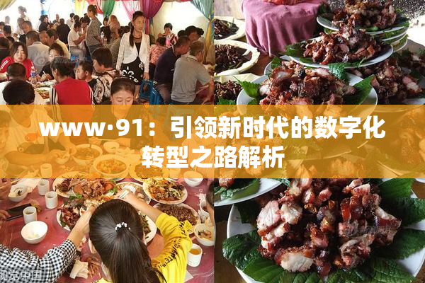 www·91：引领新时代的数字化转型之路解析