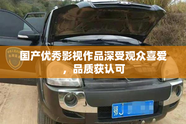 国产优秀影视作品深受观众喜爱，品质获认可